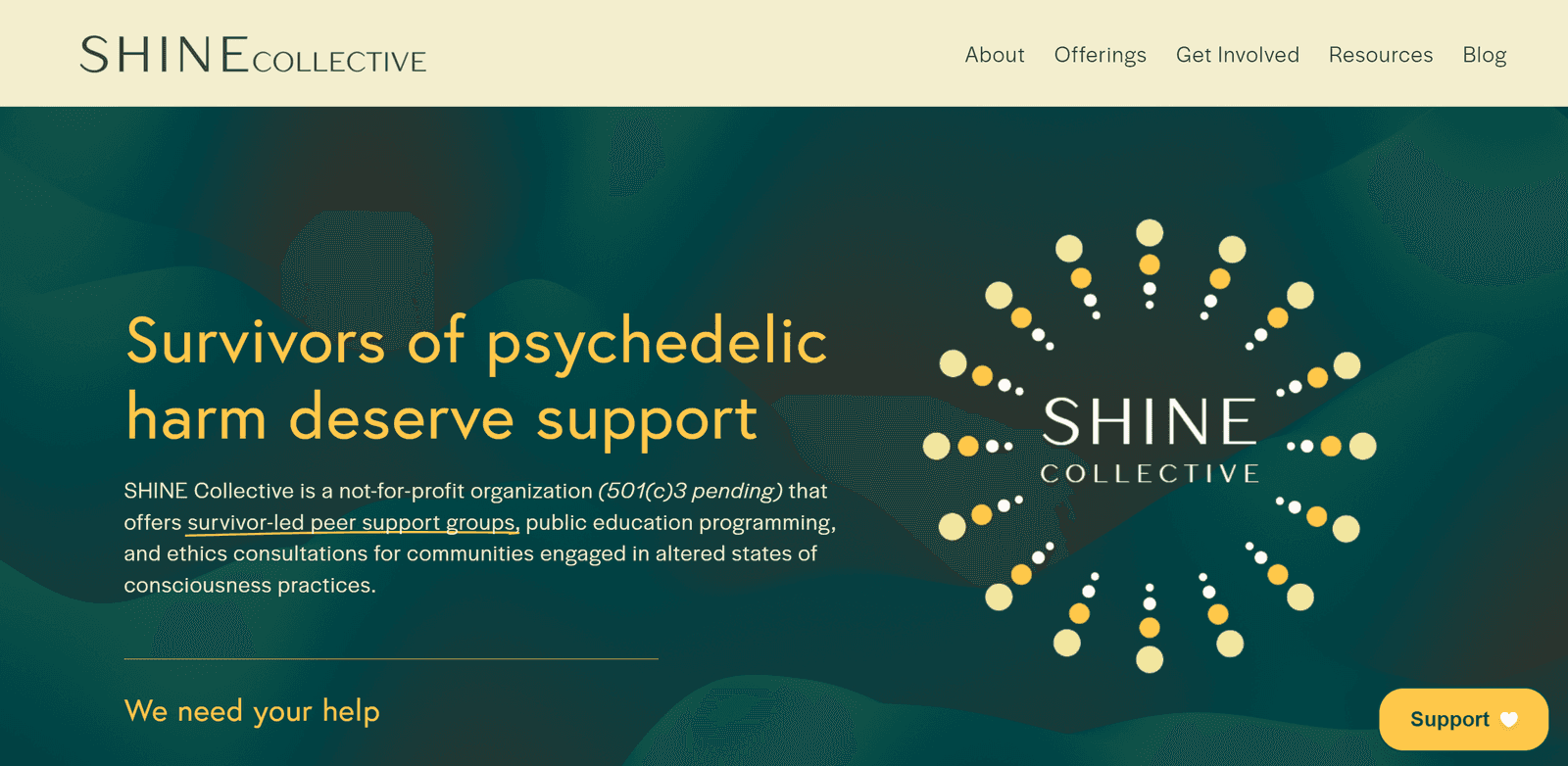 SHINE Collective homepage with the Survivors of psychedelic harm deserve support headline