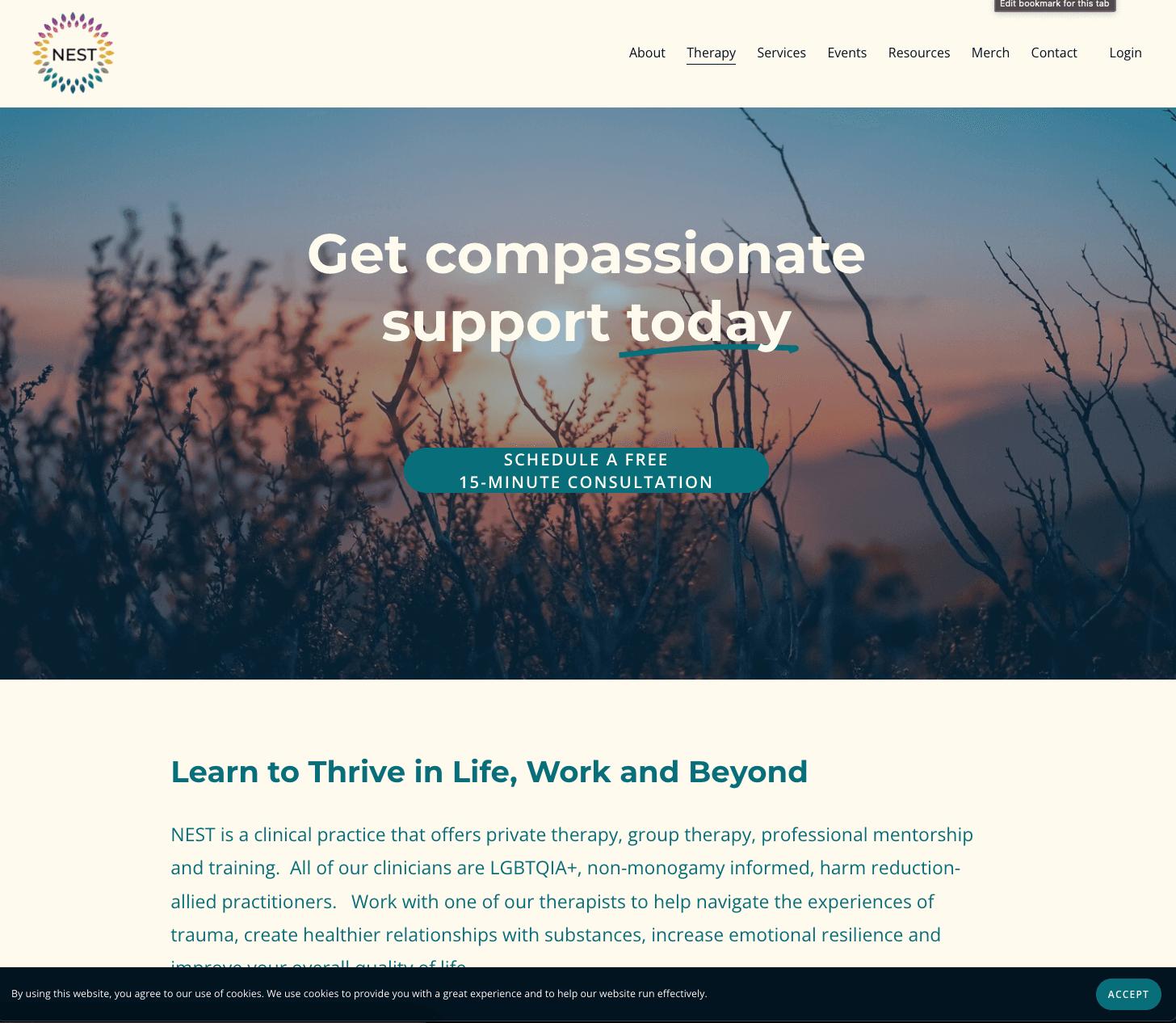 Shared NEST therapy page before harm reduction had its own site