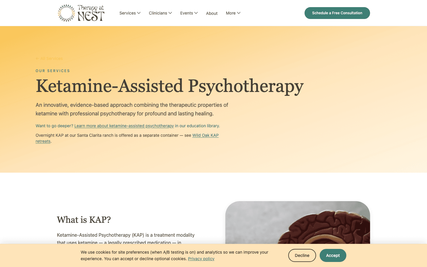 Ketamine-assisted psychotherapy service page after the rebuild