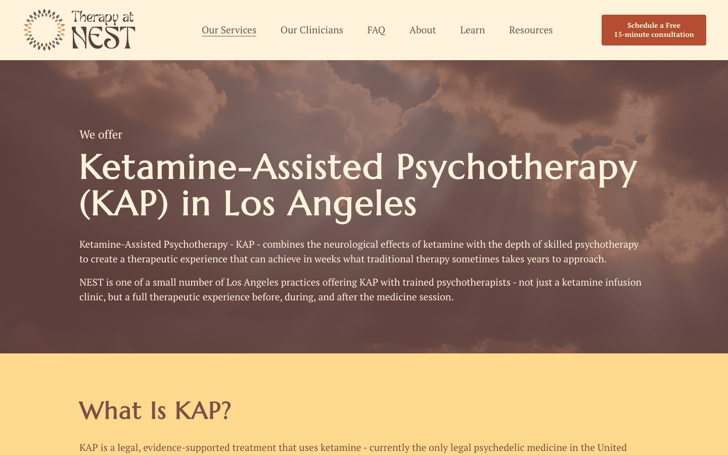 Ketamine-assisted psychotherapy page on the previous Squarespace site