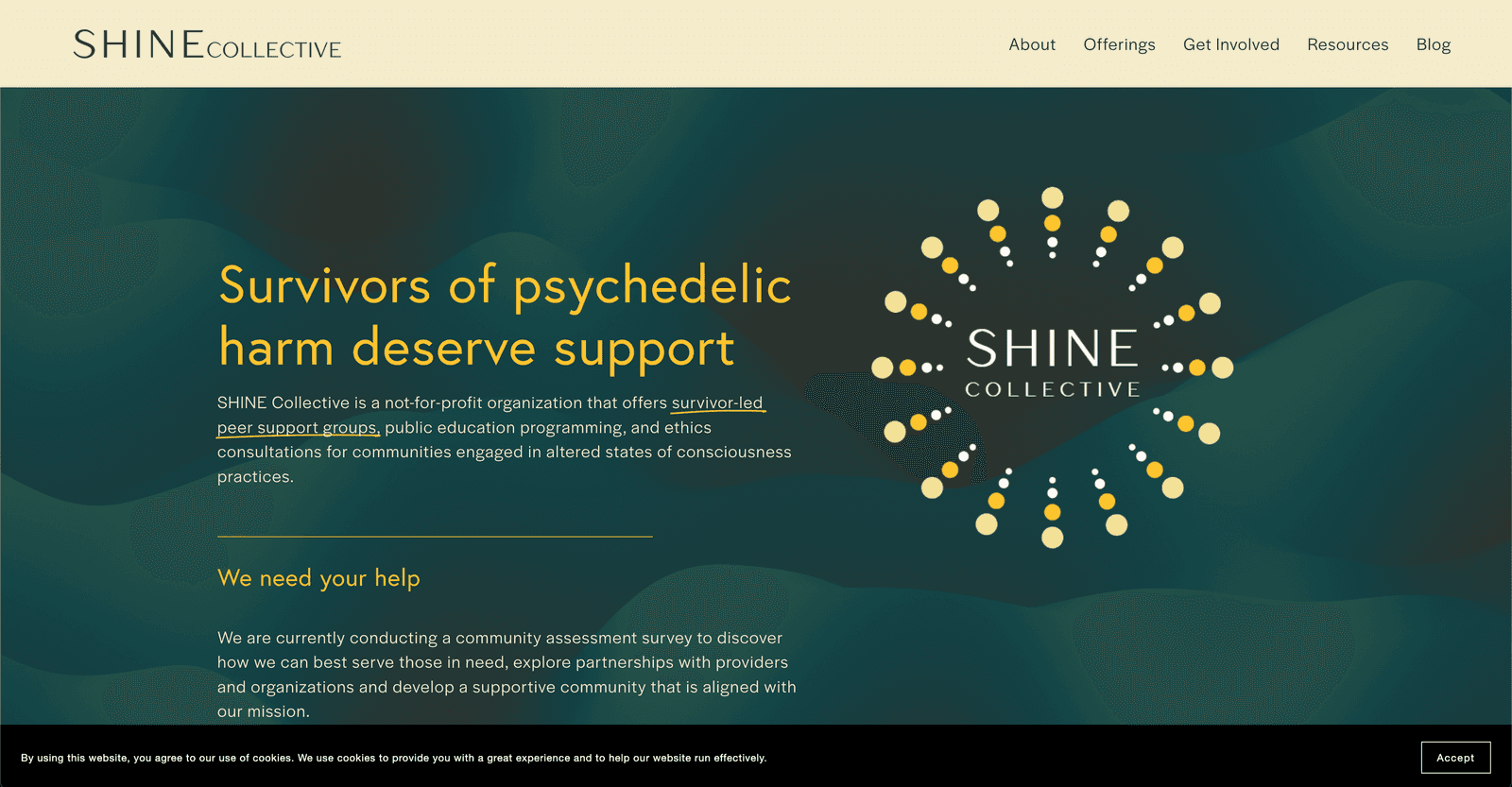 SHINE Collective homepage explaining survivor-led peer support and a community assessment survey