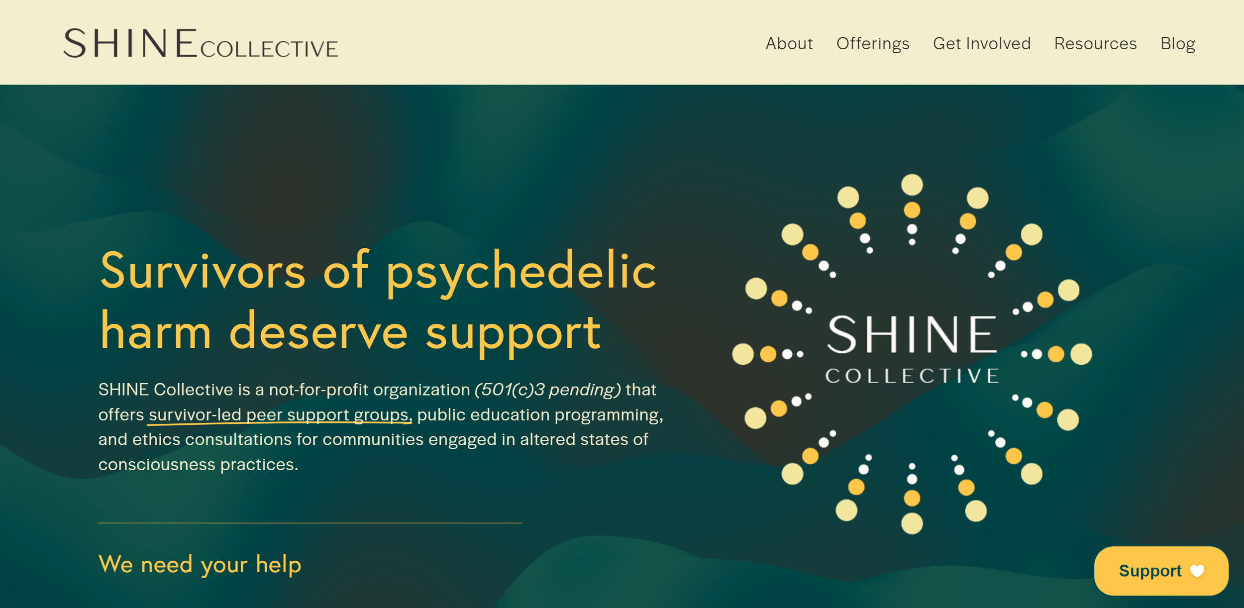 SHINE Collective