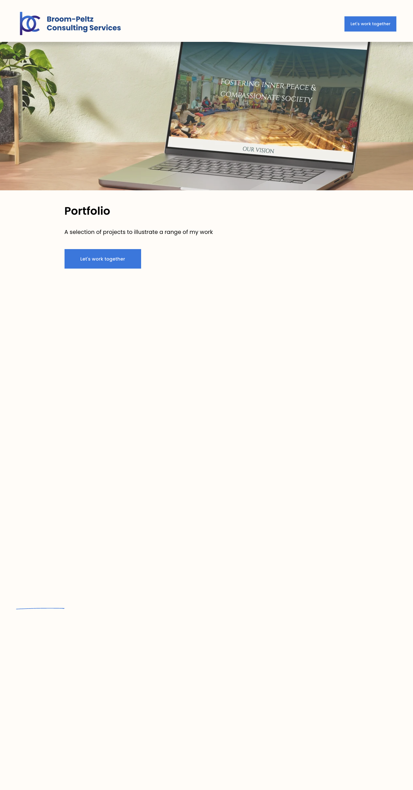 Broom-Peltz Consulting: portfolio desktop