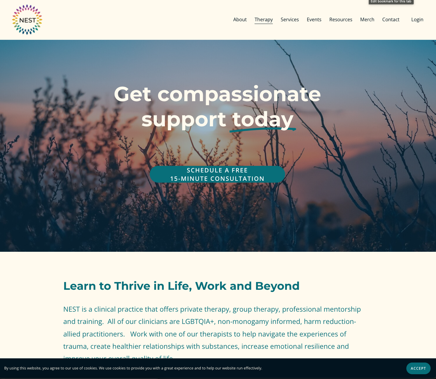NEST Harm Reduction: therapy page