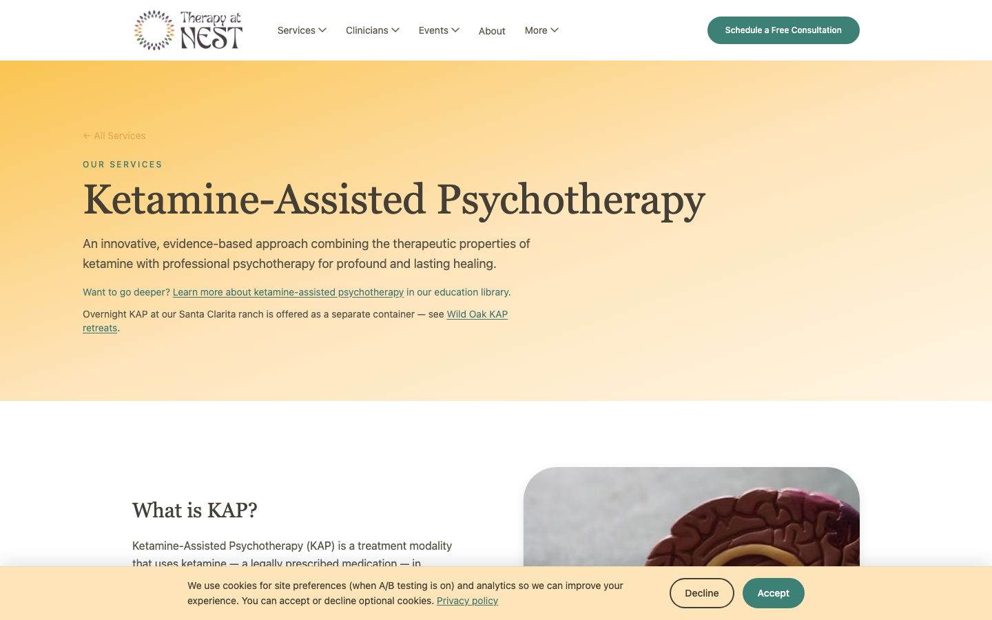 Therapy at NEST: kap service page