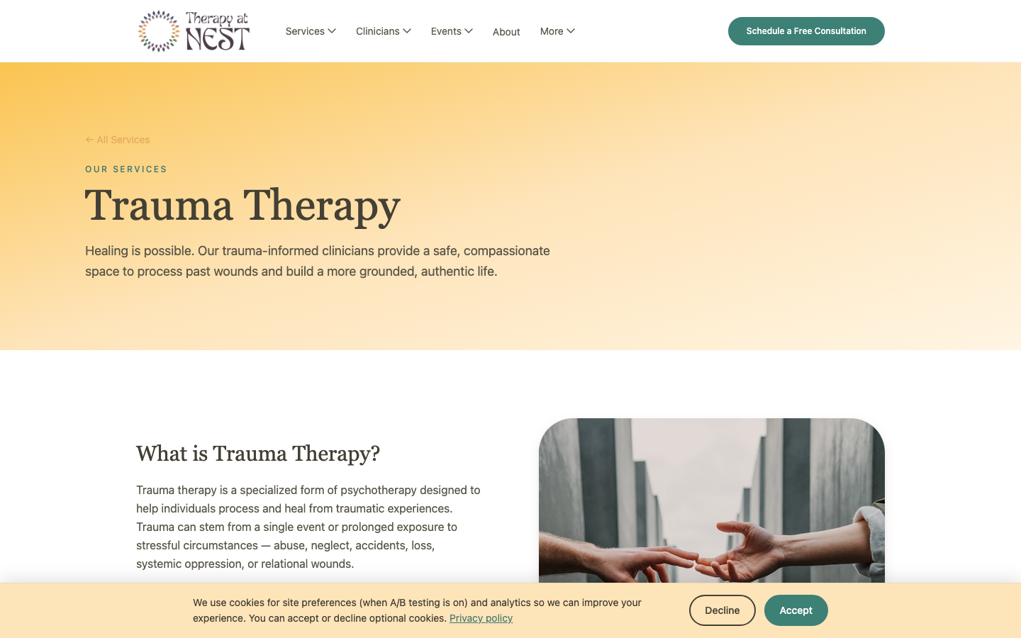 Therapy at NEST: trauma therapy page
